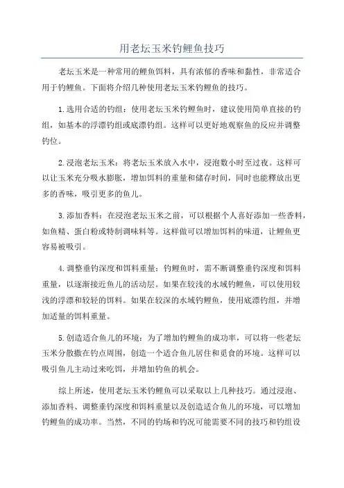 用老坛玉米钓鲤鱼技巧