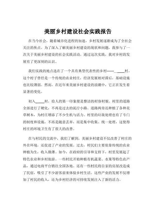 美丽乡村建设社会实践报告