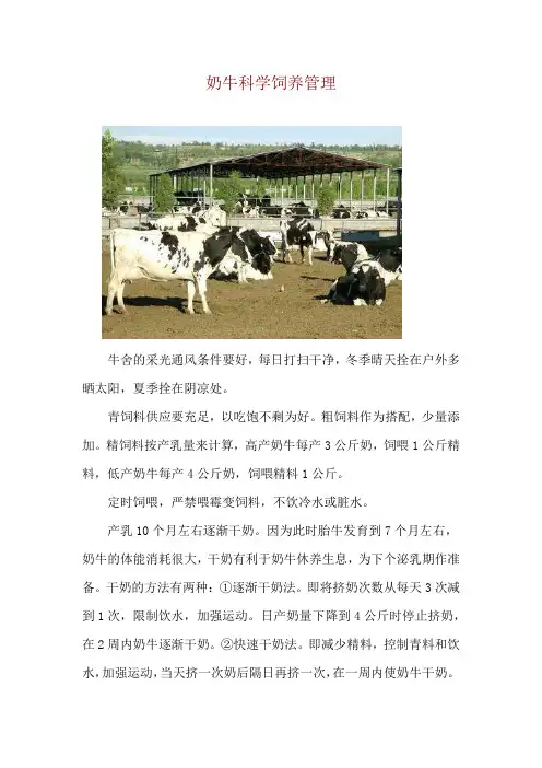 奶牛科学饲养管理
