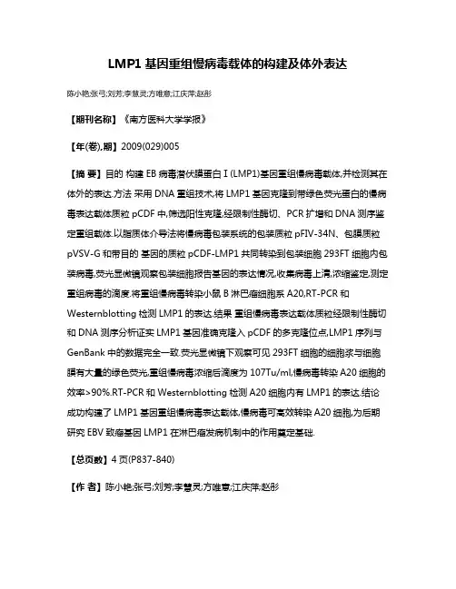 LMP1基因重组慢病毒载体的构建及体外表达