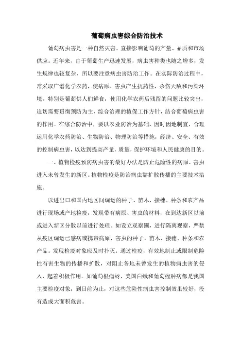 葡萄病虫害综合防治技术