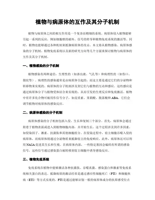 植物与病原体的互作及其分子机制