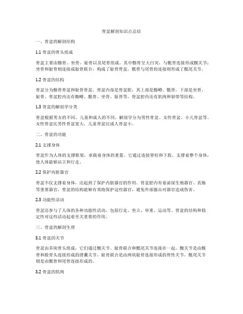 骨盆解剖知识点总结