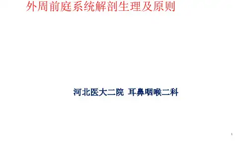 眩晕耳石症ppt课件