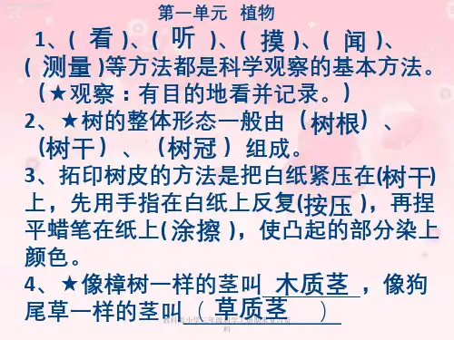 教科版小学三年级科学上册期末复习资料
