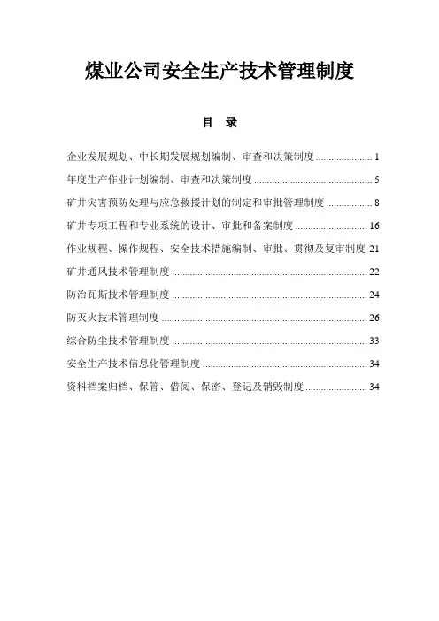 煤业公司安全生产技术管理制度 (2)