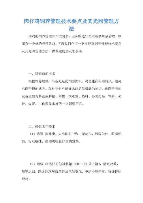 肉仔鸡饲养管理技术要点及其光照管理方法
