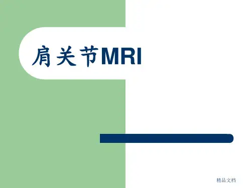 肩关节的解剖