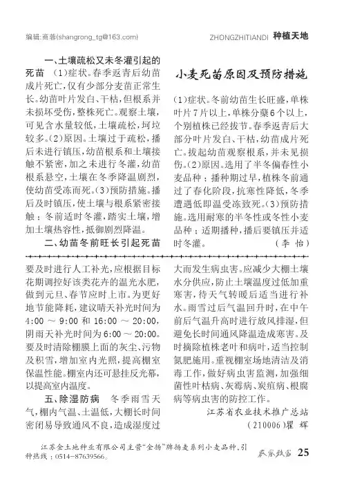 小麦死苗原因及预防措施