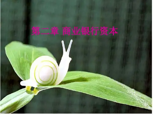 商业银行资本概述(PPT 75页)