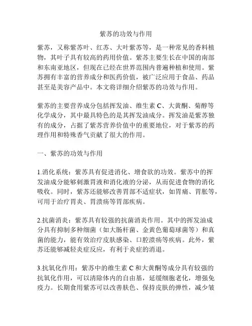 紫苏的功效与作用