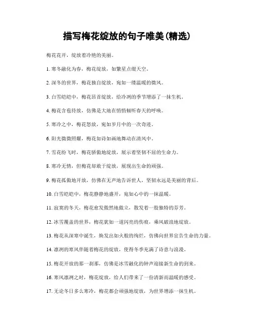 描写梅花绽放的句子唯美(精选100句)