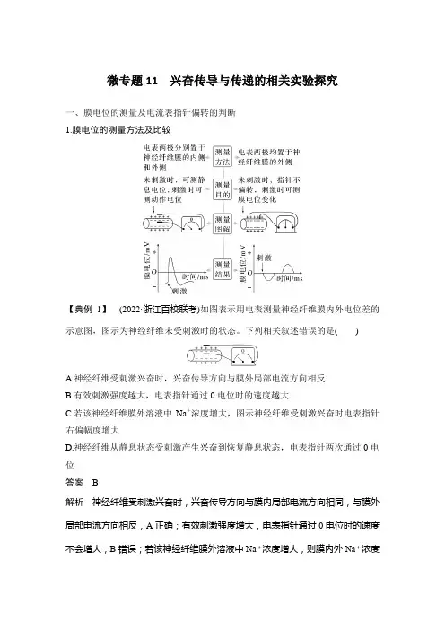微专题11 兴奋传导与传递的相关实验探究