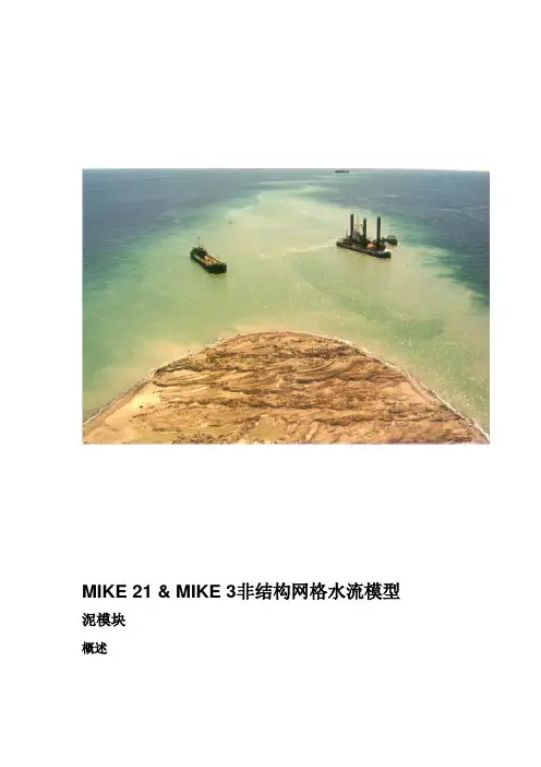 MIKE 213_MT_FMChinese
