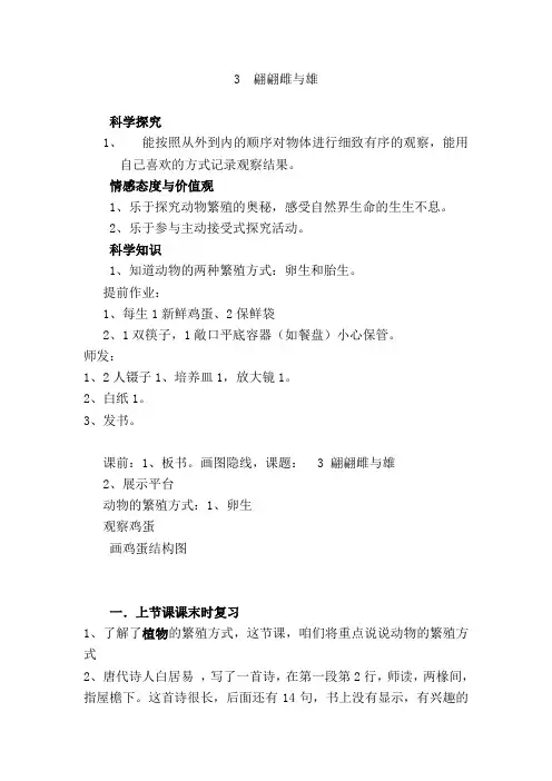 解剖鸡蛋