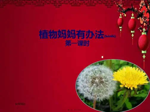 二年级语文上册 课文1 3《植物妈妈有办法》(第1课时)课件