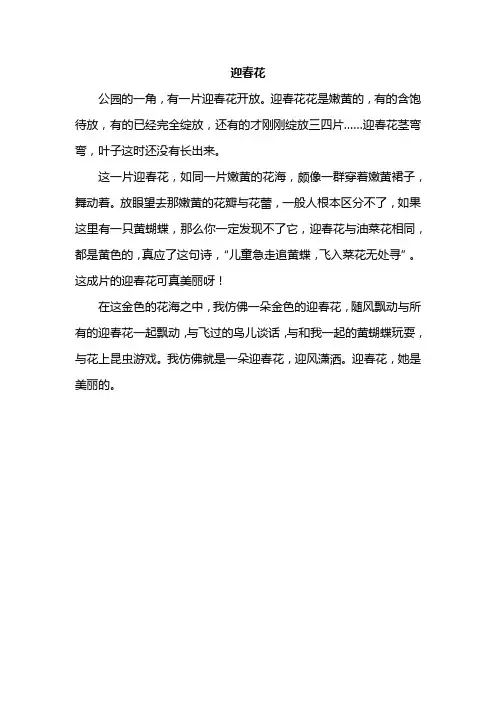 三年级作文迎春花250字