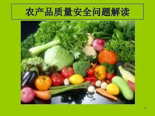 农产品质量安全问题解读PPT课件