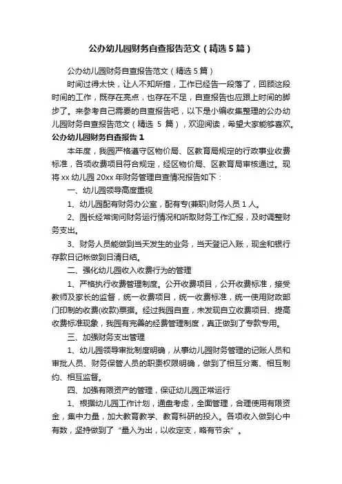 公办幼儿园财务自查报告范文（精选5篇）
