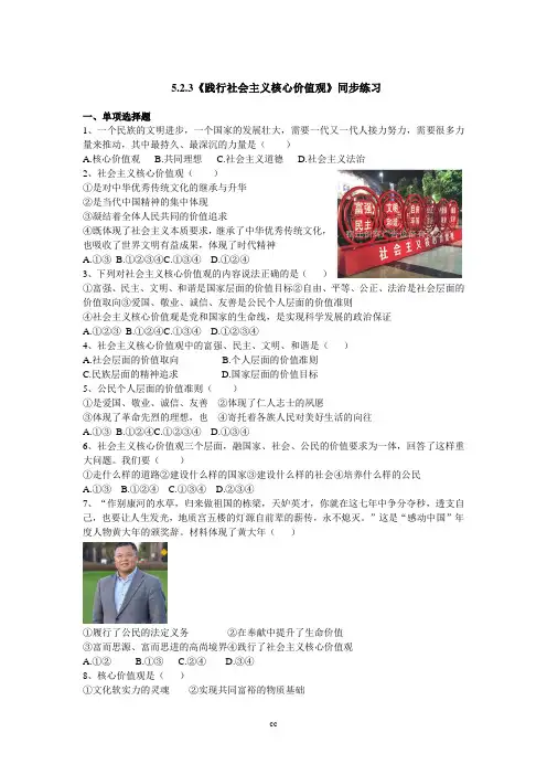 粤教版道德与法治九年级下册5.2.3《践行社会主义核心价值观》同步练习