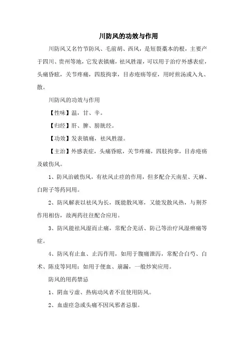 川防风的功效与作用