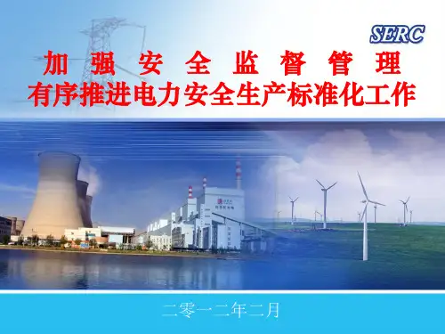 发电企业安全生产标准化共76页文档