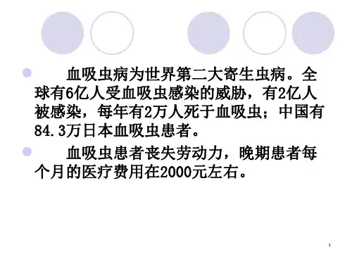 农学血吸虫病