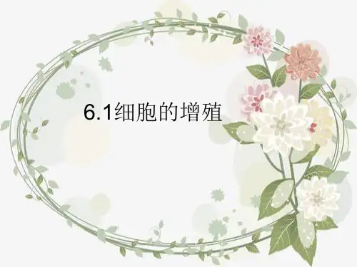 《细胞的增殖》PPT课件人教版高中生物1