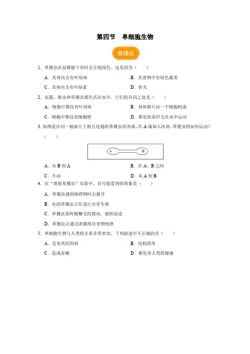 单细胞生物(分层作业)