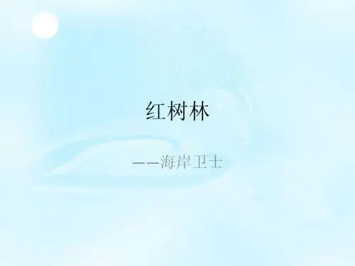 红树林