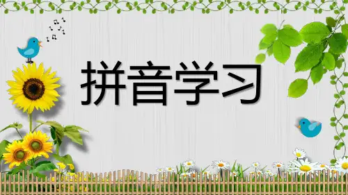 拼音学习(幼小衔接)