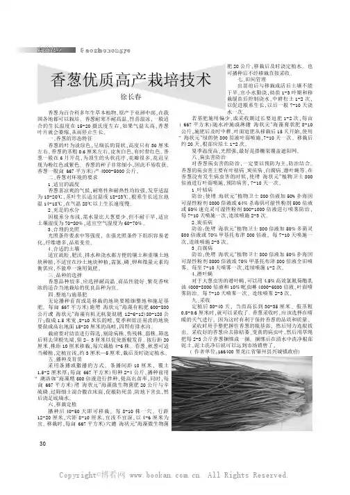 香葱优质高产栽培技术
