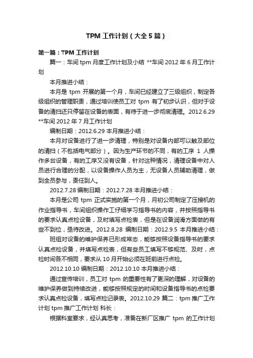 TPM工作计划（大全5篇）