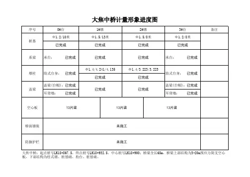 桥梁计量形象进度图