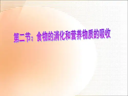 食物的消化和营养物质的吸收PPT课件