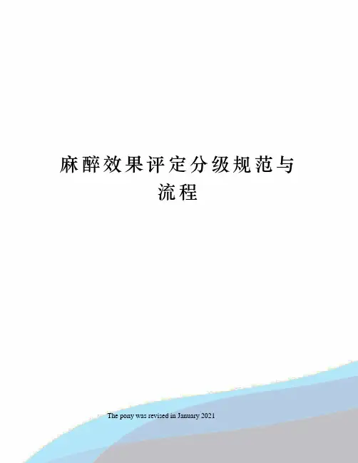 麻醉效果评定分级规范与流程