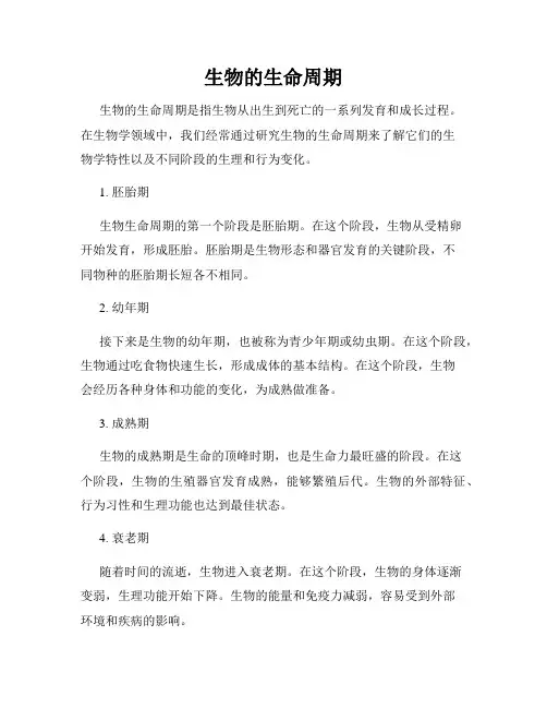 生物的生命周期