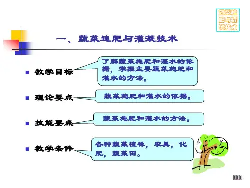蔬菜的田间管理浇水施肥植株调整.ppt