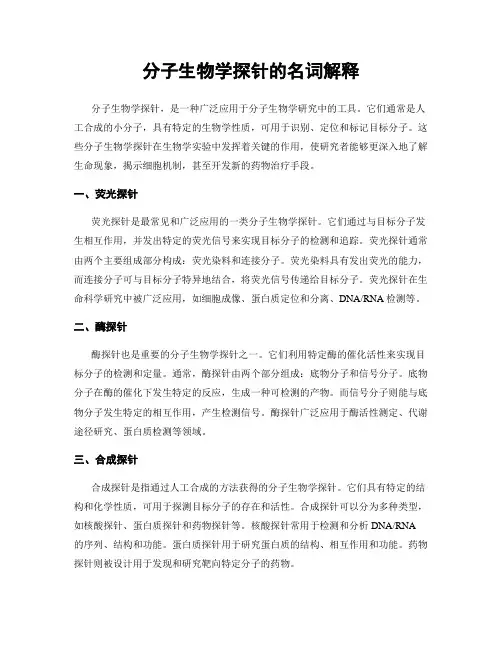分子生物学探针的名词解释