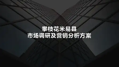 攀枝花米易县市场调研报告