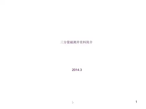 三分量磁测井ppt课件