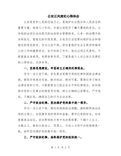 公安正风肃纪心得体会