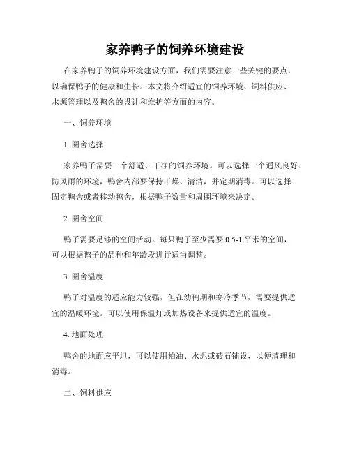 家养鸭子的饲养环境建设
