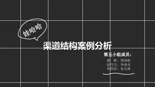 哇哈哈渠道分析PPT课件