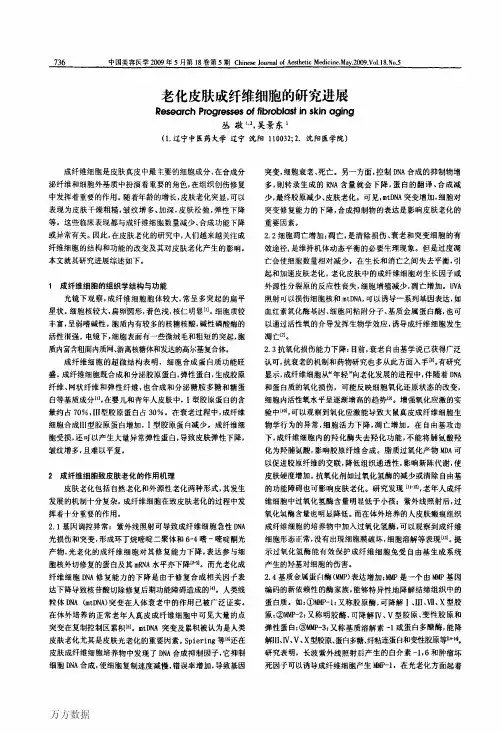 老化皮肤成纤维细胞的研究进展