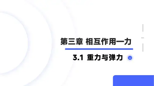 重力与弹力ppt课件