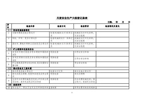 月度安全生产大检查记录表
