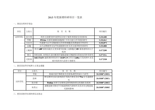 2013新增科研项目一览表