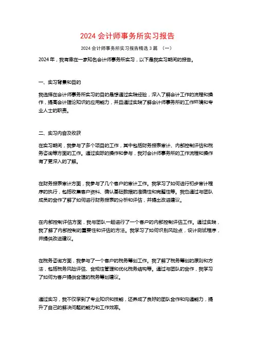 2024会计师事务所实习报告3篇