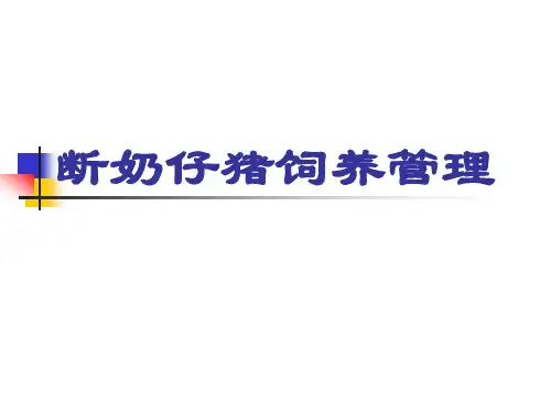 断奶仔猪肉猪饲养.ppt